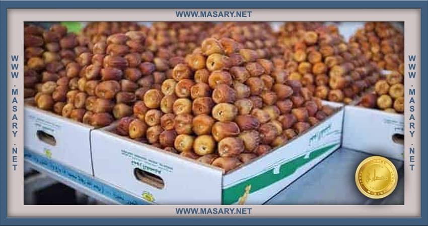 مصنع التمور في المملكة العربية السعودية